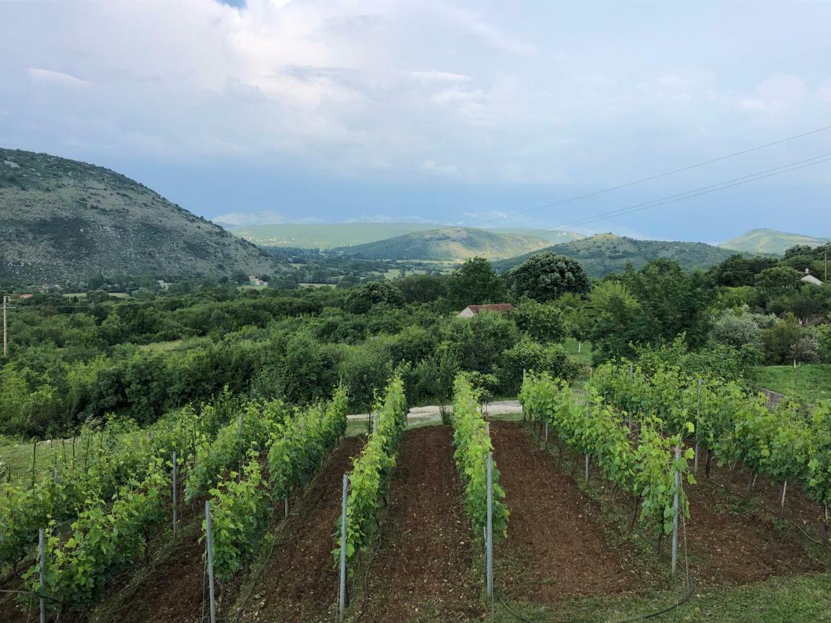 Green Silence - Vuk Подгориця Екстер'єр фото