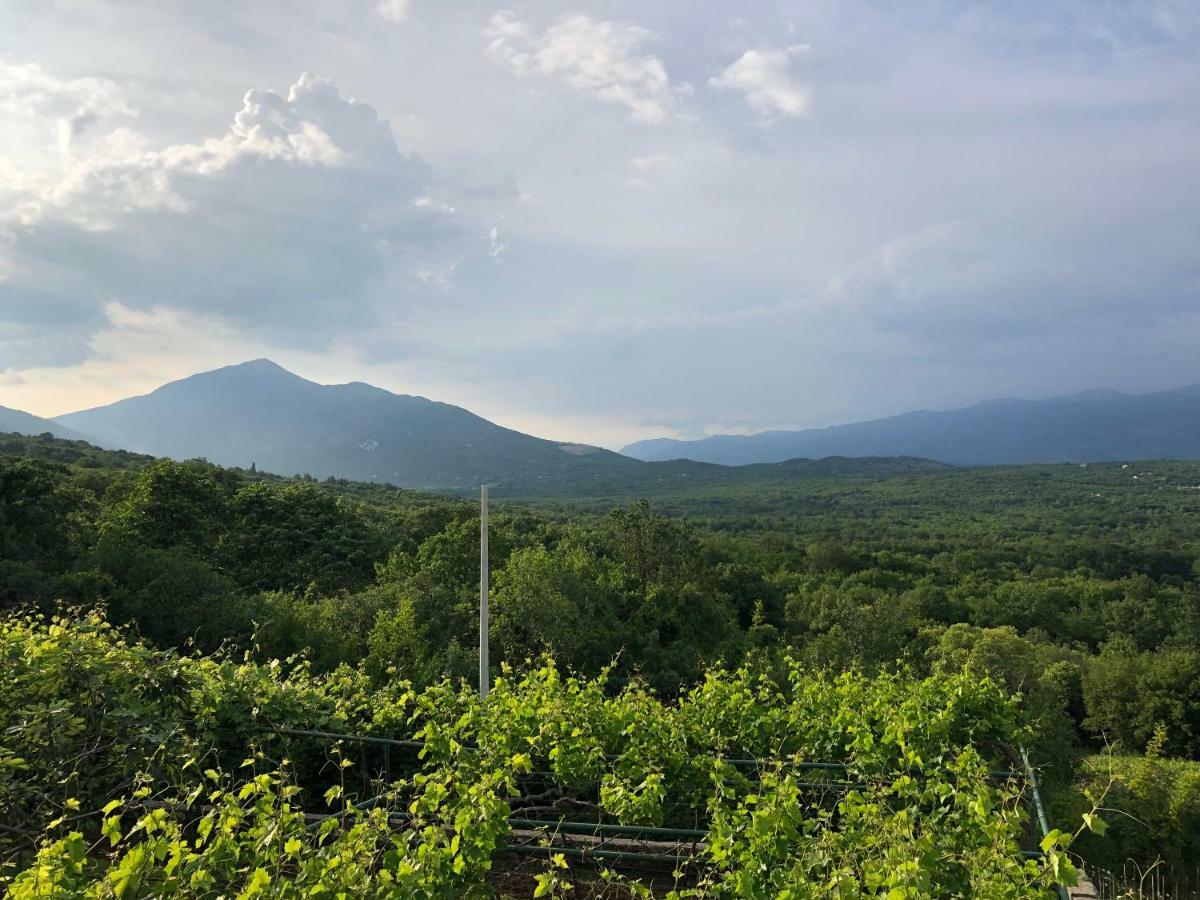 Green Silence - Vuk Подгориця Екстер'єр фото